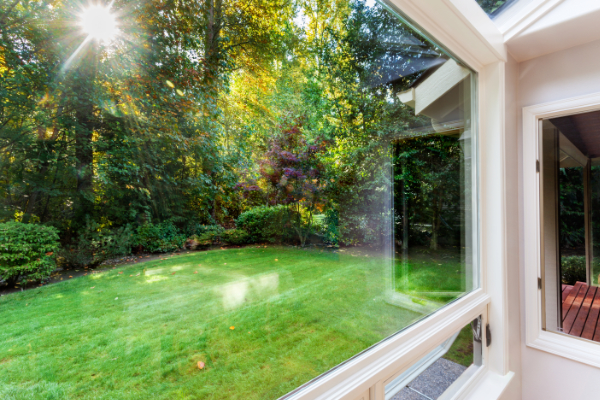 A view of the yard through a clean window